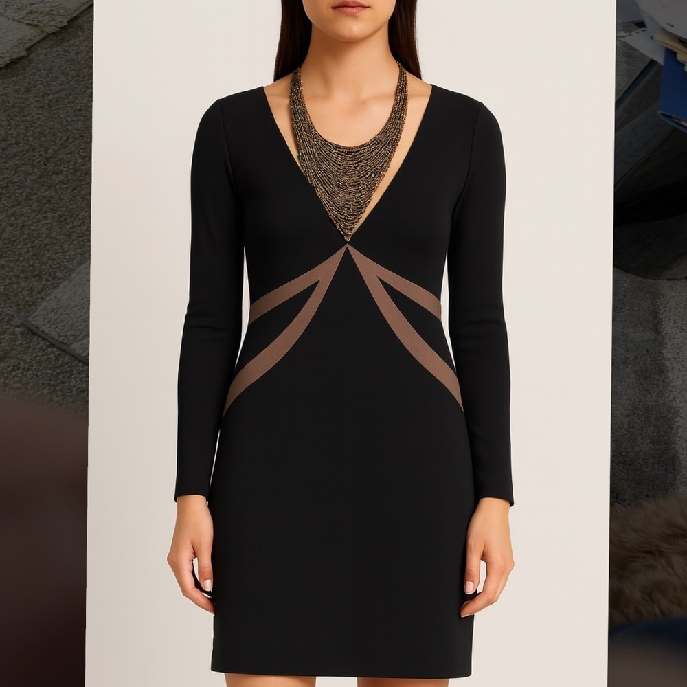 Dress V Neck long sleeve Black and Brown Women's size small